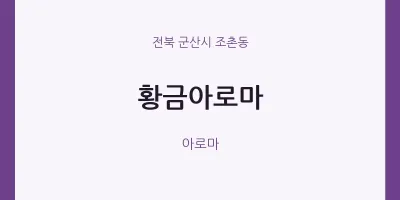 조촌동 출장마사지 홈타이 황금아로마 | 마픽