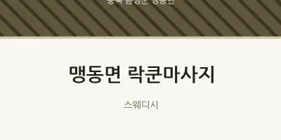 맹동면 출장마사지 홈타이 락쿤마사지 | 마픽