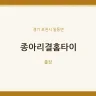종아리결홈타이