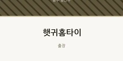광산구 출장마사지 햇귀홈타이 | 마픽
