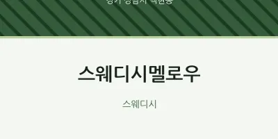 백현동 출장마사지 홈타이 스웨디시멜로우 | 마픽