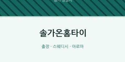 성남시 출장마사지 솔가온홈타이 | 마픽