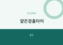 부평구 출장마사지 얕은잠홈타이 | 마픽