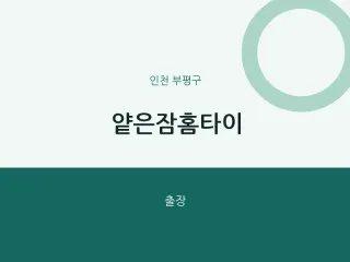 부평구 출장마사지 얕은잠홈타이 | 마픽