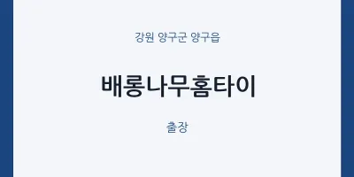 양구읍 출장마사지 배롱나무홈타이 | 마픽