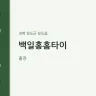 백일홍홈타이