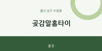 수암동 출장마사지 곶감말홈타이 | 마픽