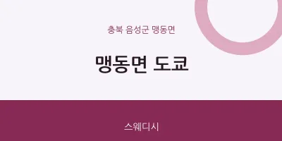 맹동면 출장마사지 홈타이 도쿄 | 마픽