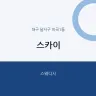 스카이