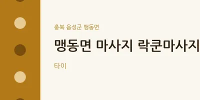 맹동면 출장마사지 홈타이 락쿤마사지 | 마픽