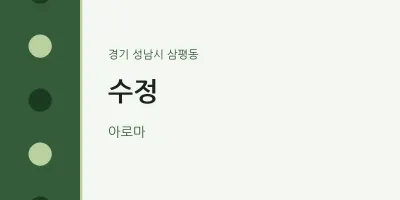 삼평동 출장마사지 홈타이 수정 | 마픽