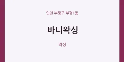 부평1동 출장마사지 홈타이 바니왁싱 | 마픽