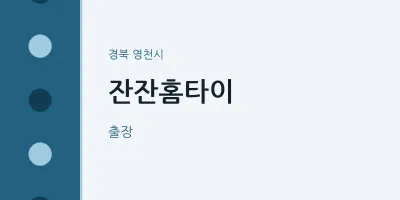 영천시 출장마사지 잔잔홈타이 | 마픽