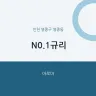 N0.1규리