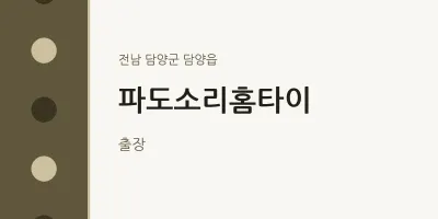 담양읍 출장마사지 파도소리홈타이 | 마픽