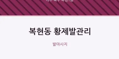 복현1동 출장마사지 홈타이 황제발관리 | 마픽
