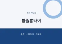 안양시 출장마사지 참뜰홈타이 | 마픽