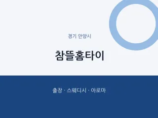 안양시 출장마사지 참뜰홈타이 | 마픽