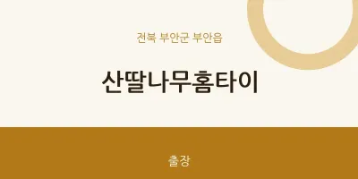 부안읍 출장마사지 산딸나무홈타이 | 마픽