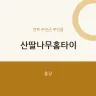 산딸나무홈타이