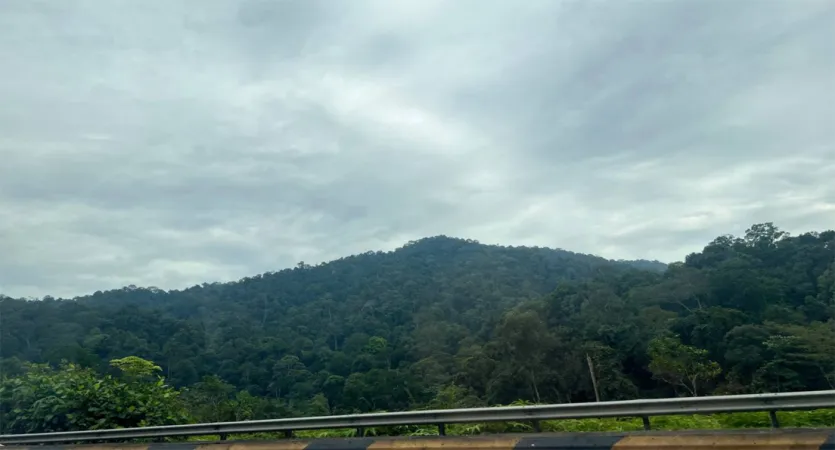 🌲 물빛 시간을 걷다 — 여자친구와 함께한 2박 3일 가평 여행